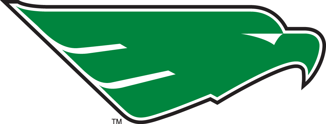 North Texas Mean Green 2005-Pres Secondary Logo diy fabric transfer